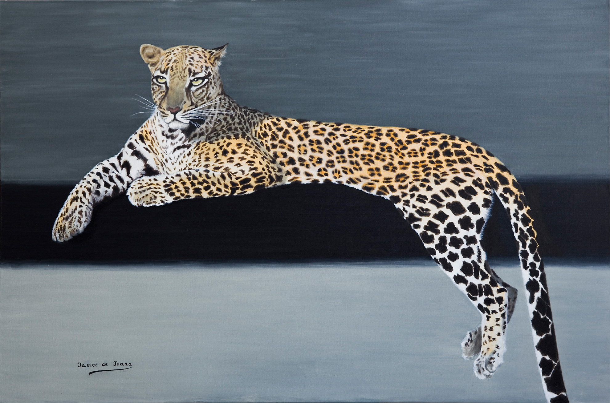 Leopardo - Cuadro de Javier de Juana